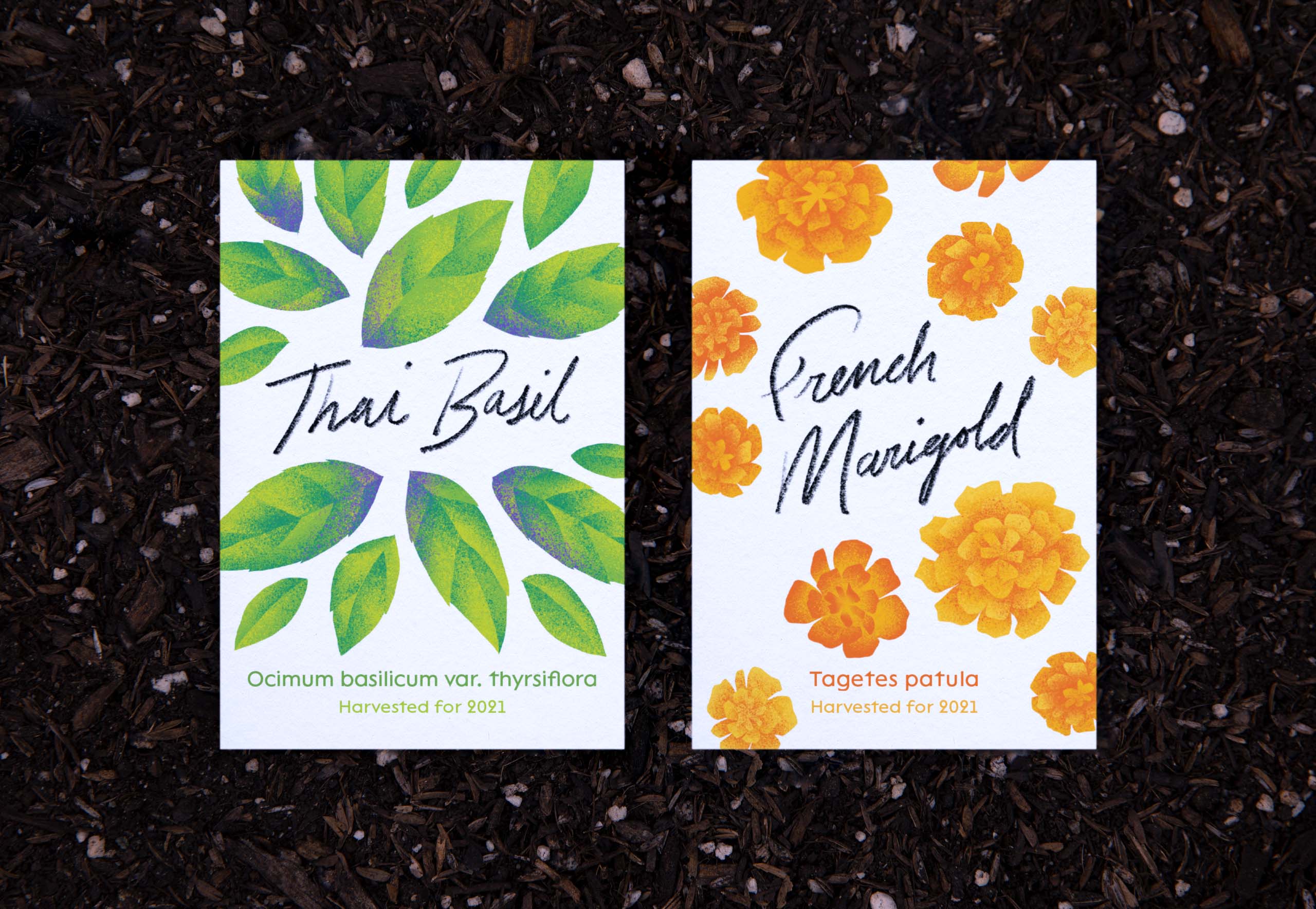 Thai Basil and French Marigold Custom Seed Packets