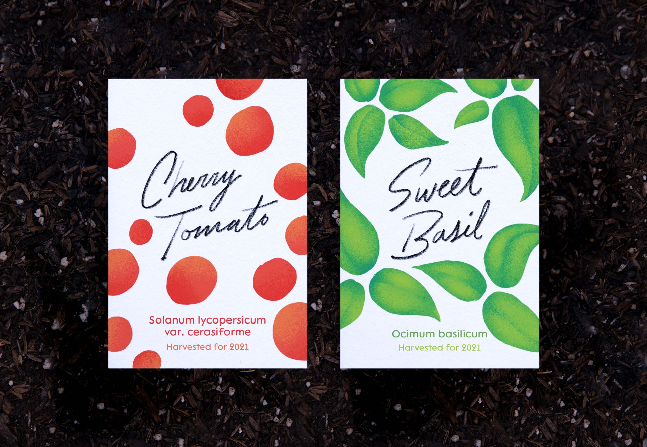 Cherry Tomato and Sweet Basil Custom Seed Packets